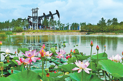 人(rén)民(mín)日(rì)報(bào)：大(dà)慶為(wèi)何青春常在